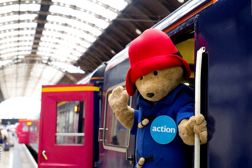 Bear Miles Paddington Appeal Action Medical Research.JPG